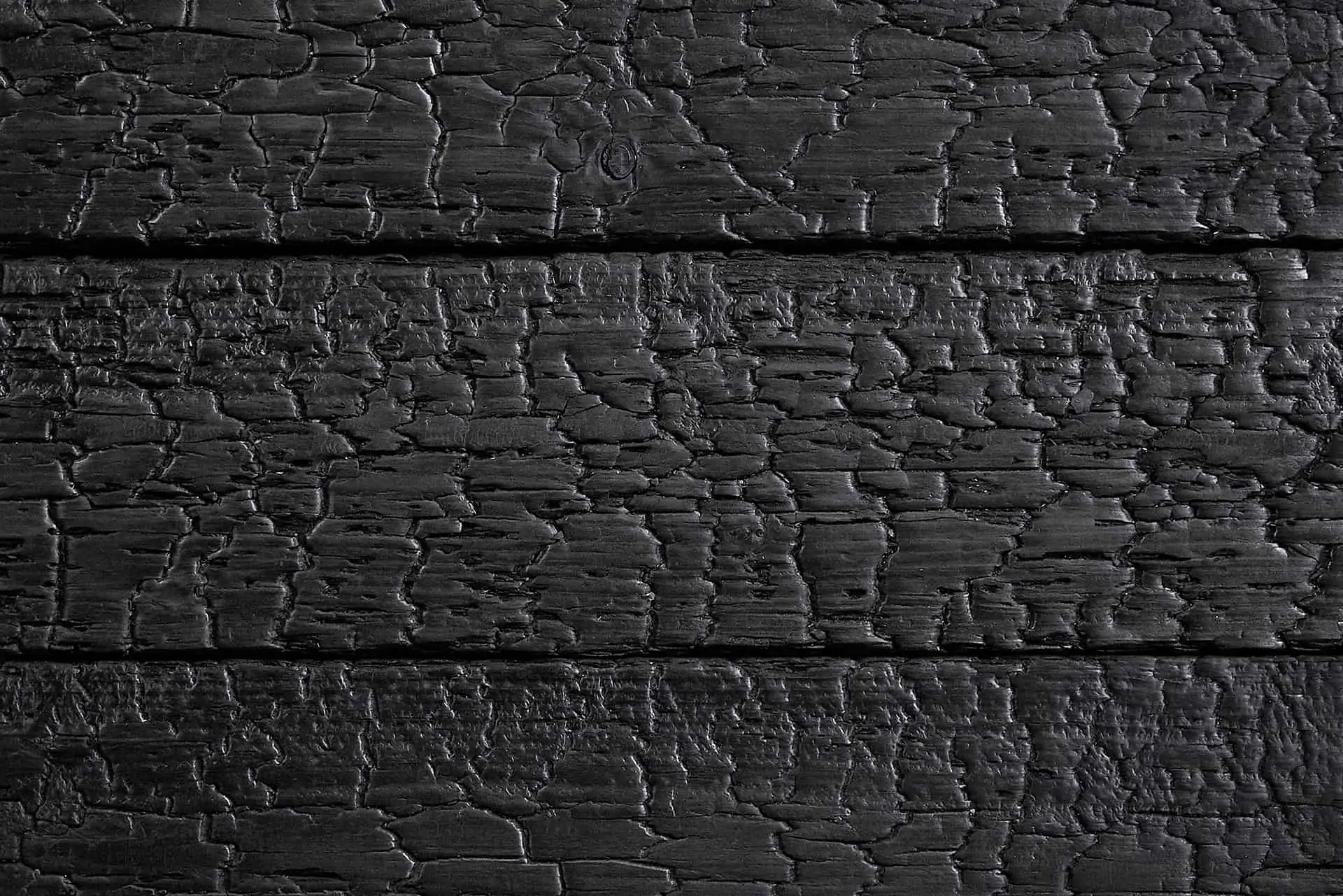 egle_carbon Deginta mediena, charred wood